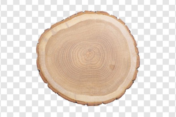 605 Wooden Decorative Plate Isolated – A Versatile Design Asset for Creative Projects