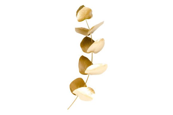 6739 Gold Decorative Leaf Isolated – A Versatile Design Asset for Creative Projects