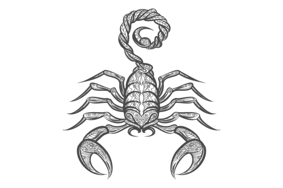 Scorpion in Decorative Tribal Ornament S